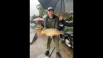 HƯỚNG DẪN CÁCH TRỘN MỒI NGŨ CỐC CHUYÊN CHÉP DÀNH CHO CÂU LỤC