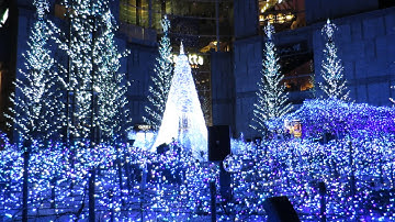 SHIODOME: Christmas Light Show