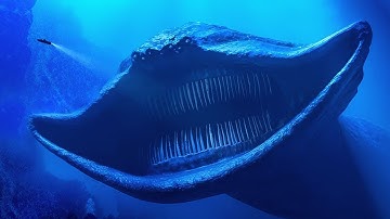 When Scientists Discover Something Deeper Than The Mariana Trench