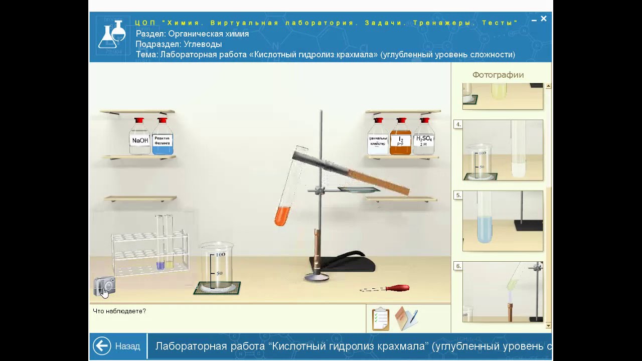 Кдл виртуал. Виртуальная лаборатория по химии. Виртуальная лаборатория 1с химия. Виртуальные лаборатории по физике механика. Типы виртуальных лабораторий по химии.
