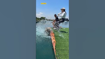 câu cá thế này thì tốn cá lắm #fishing #cauca