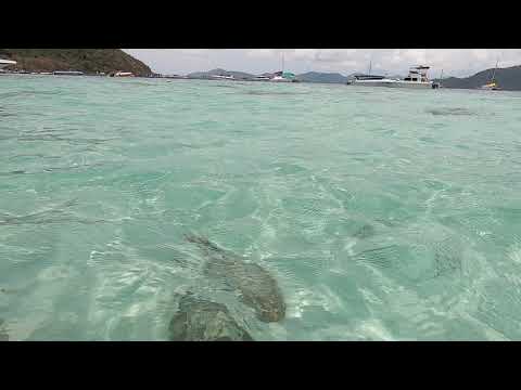 Coral Island เกาะเฮ ภูเก็ต