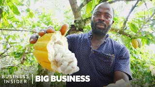 ghana grows our cocoa, so why can’t it make chocolate? | big business