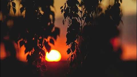 سورة البقرة بصوت القارئ أبو يوسف الخرخاشي