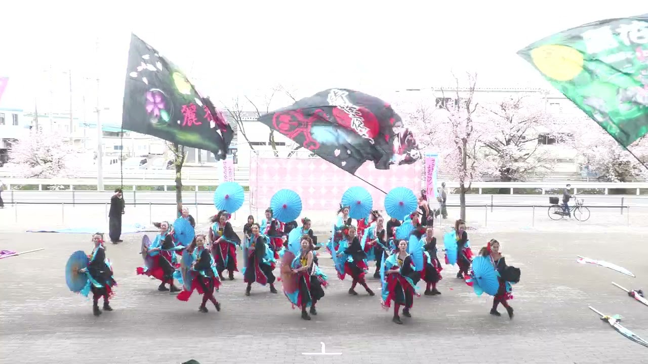 4K] Dance company REIKA-gumi (Sakura Town Yosakoi 2026 ~Spring