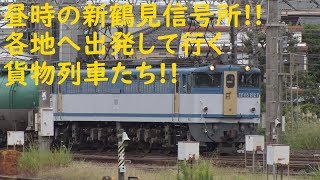 2019/09/28 [貨物列車] 昼時の新鶴見信号所!! 各地へ出発して行く貨物列車たち!!