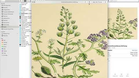 Resize Images to Specific Sizes Using dataset-tools