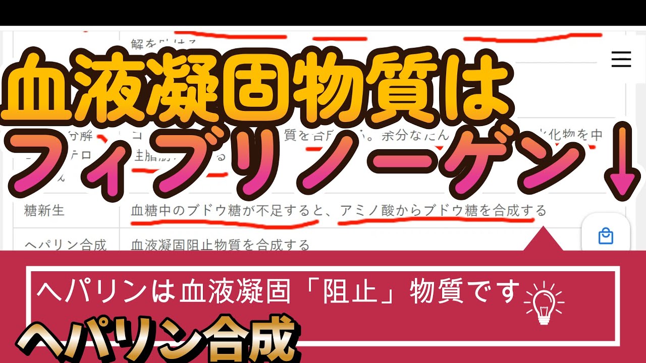 【諦めるな!】肝臓と睡眠【労働生理5】
