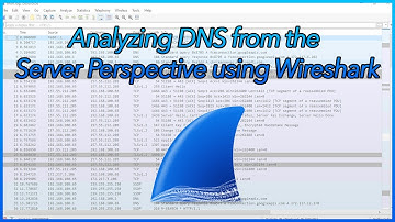 01 Analyzing DNS from the Server Perspective using Wireshark