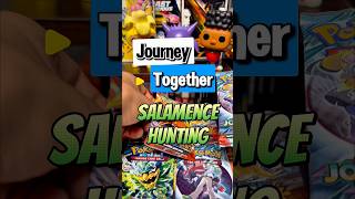 We will get a salamence out of journey together… we will 🤞