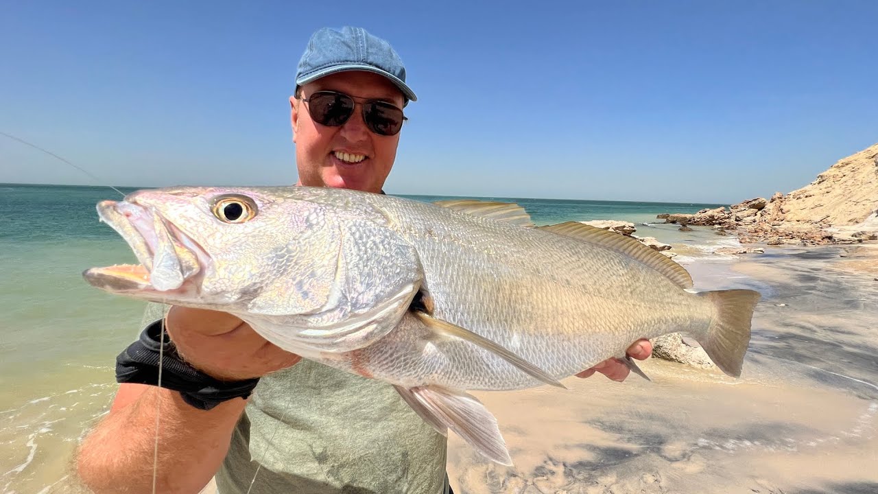 Ловля рыбы коб / корвины в Марокко