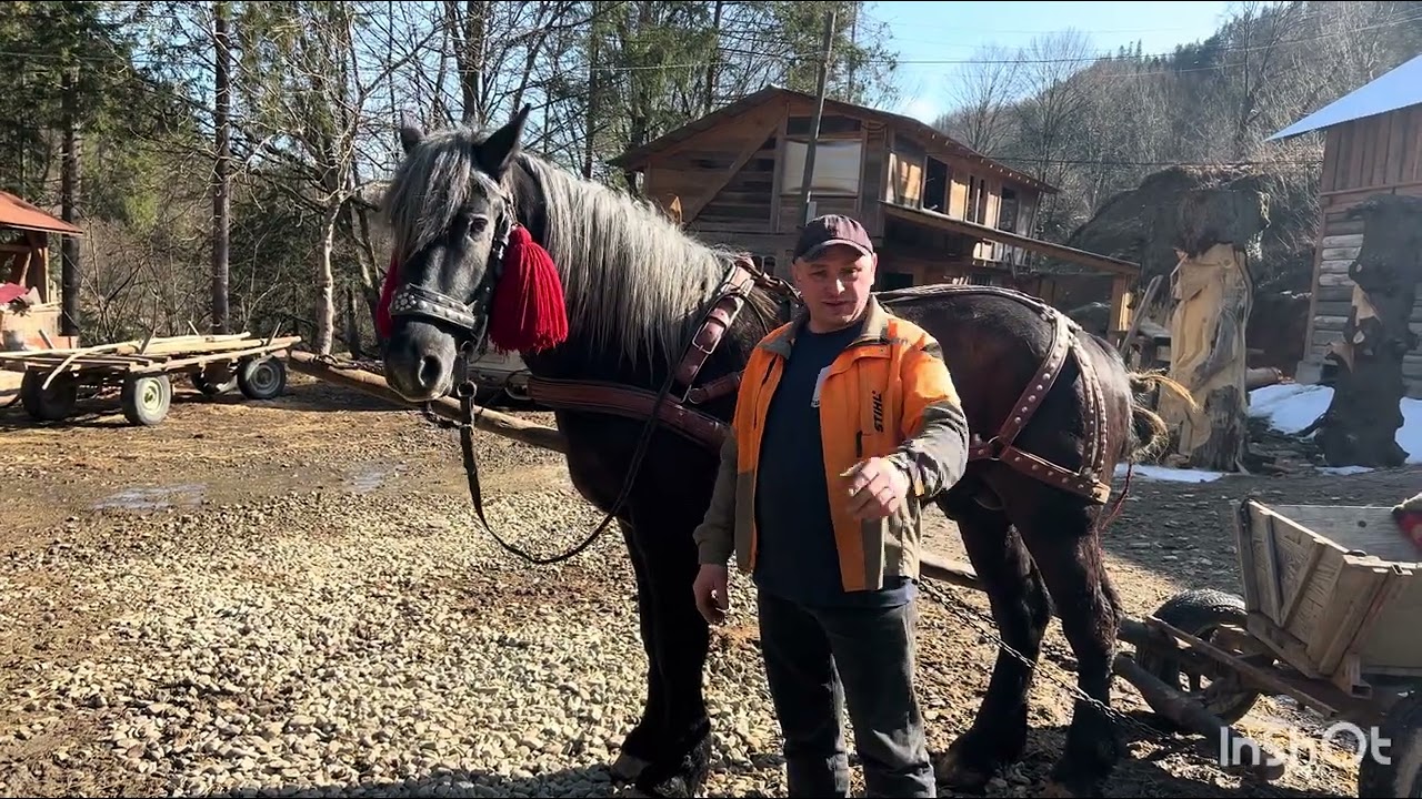 ⚜️Обнова на господарстві⚜️возик на продаж 0969603822