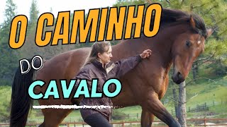 O Caminho do Cavalo - documentário com legenda em português