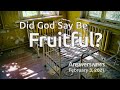 Did God Say Be Fruitful? - Answers News: February 3, 2021