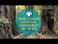 Muir Woods National Monument (3D VR 180)