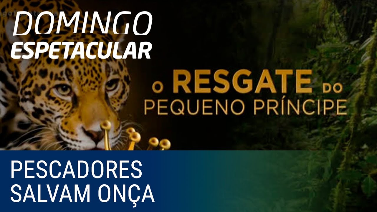 Pescadores se mobilizam para resgatar onça presa em armadilha