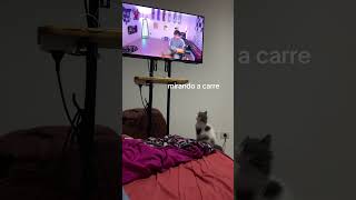 Pov Tu Gata Mira Tele