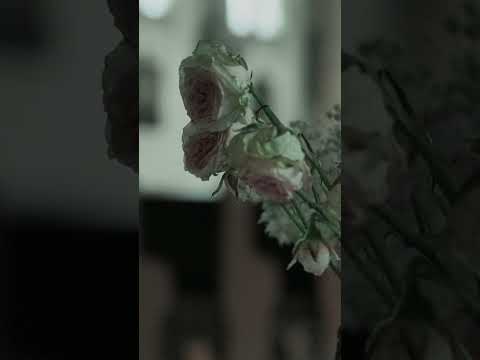 Marco Enrico Bossi 1925 2025 Vol 1 Classicalmusic Organist Lamantovana