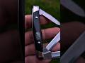 Buck USA 303 Cadet in Ebony and Case CS Burnt Amber Bone Soddy