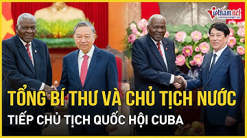 Tổng Bí thư Tô Lâm và Chủ tịch nước Lương Cường tiếp Chủ tịch Quốc hội Cuba | Báo VietNamNet