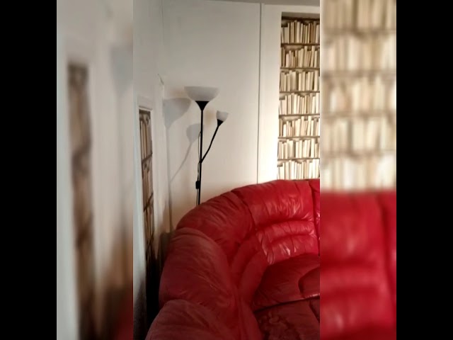 Cathays, 2 Bed Flat. Bills+garden+parking included Main Photo