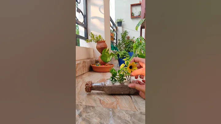 DIY plant decoration in plastic bottle #shorts #gardening #youtube #diy #viral #shortsfeed #how