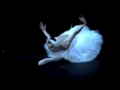 Diana vishneva Dying Swan