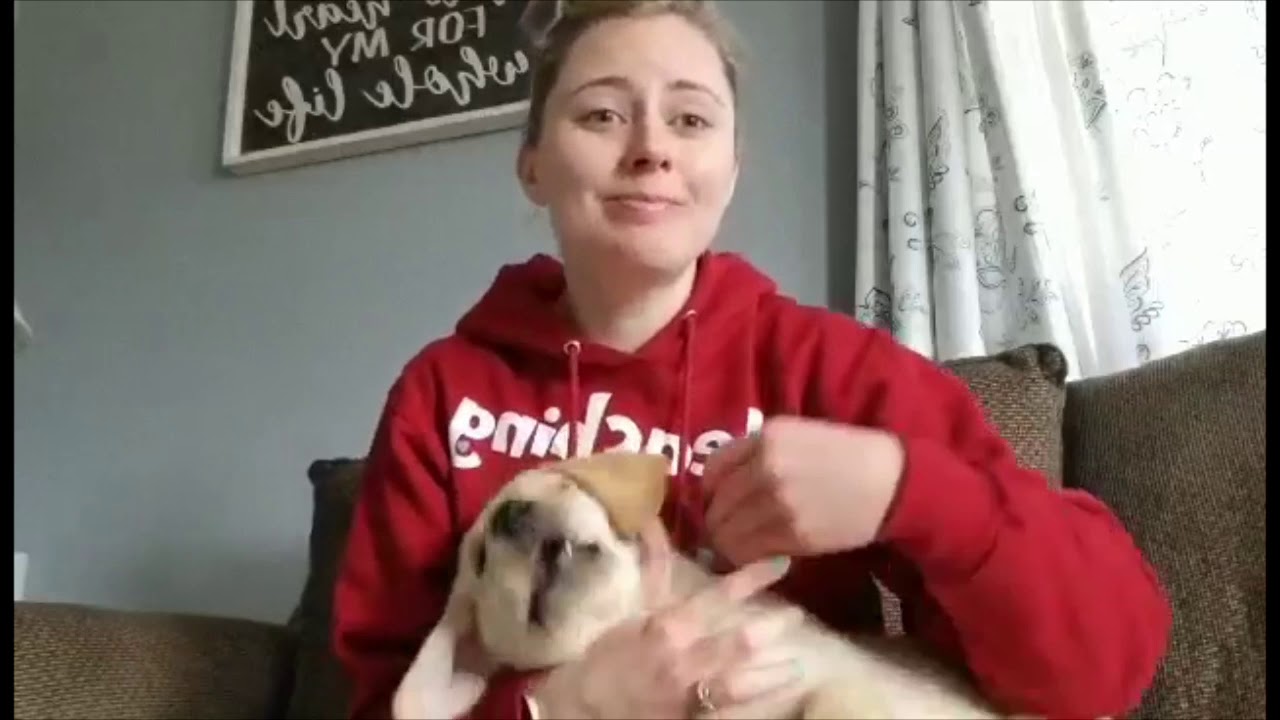 Connect Christian School Missing You YouTube