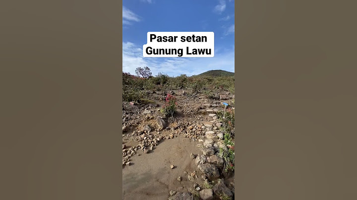 Mount Lawu devil market #mountlawu #devilmarket #mountains