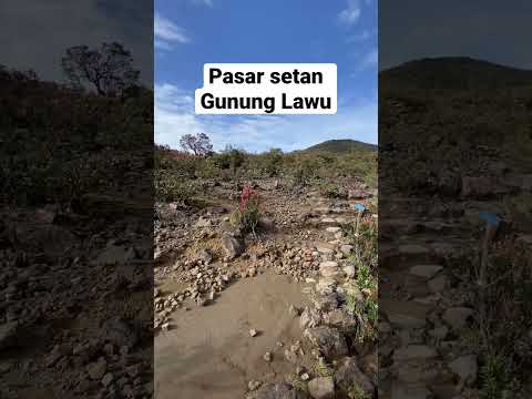 Video: Panduan Lengkap ke Hutan Negara Gunung Hood