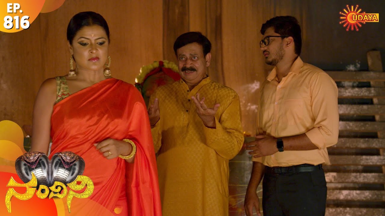 Nandini - Episode 816 | 10th Dec 19 | Udaya TV Serial | Kannada Serial