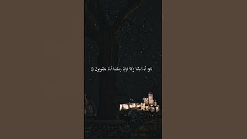 الشيخ محمد بدر حسين سورة المؤمنون #القرآن_الكريم #آيات