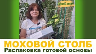 видео: МОХОВАЯ ОПОРА (ТОТЕМ). Часть 4. Распаковка основы под моховую опору картинка: МОХОВАЯ ОПОРА (ТОТЕМ). Часть 4. Распаковка основы под моховую опору
