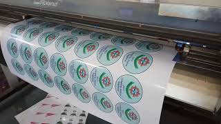 diamant Nødvendig Scene Vinyl Sticker Printing and Cutting (Roland Printer) - YouTube