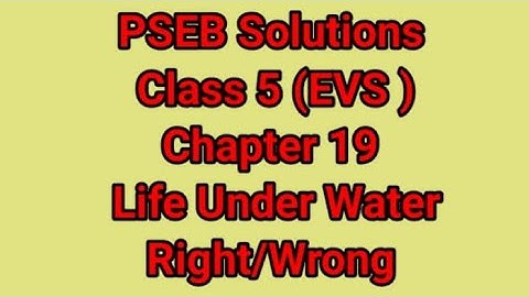 Class 5th-EVS, CHAPTER-19, LIFE UNDER WATER (RIGHT/WRONG) #5th #evs