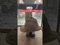 7th Nizam ki Hat & Shoes 👑 Royal Lifestyle of Hyderabad #shorts #ytshorts