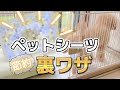 【節約術】１枚のペットシーツを使いたおす裏ワザ！年間４万円以上節約　トイレシート節約方法【永久保存版】