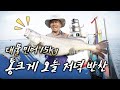 용왕님하고 나하고 조금 친해...ㅎㅎ#대물민어15kg #민어밥상 #신안하의 신도