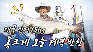 용왕님하고 나하고 조금 친해...오늘도 많이 주시는구먼~! #대물민어15kg #민어밥상 #신안하의 신도