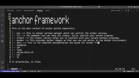 Anchor Framework for Solana Programs
