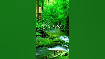 سورة الطور | آية ٣٥ - ٣٧ | المنشاوي