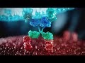 Natural killer cell technology  scientific animation