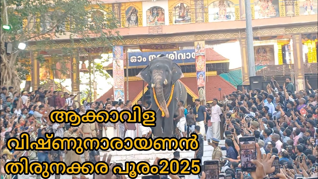 Akkavila Vishnu Narayanan thirunakarapuram 2025#shortsfeed #aanakotta #minivlog #sunilsajiavaniyil