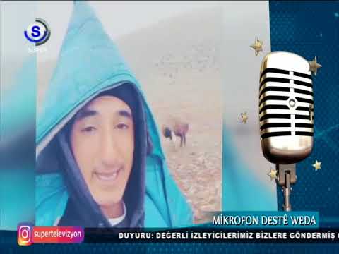 MİKROFON DESTE WEDA, SÜPER TV  195