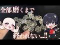 【耐久】アクセ全部磨くまで終わらない配信