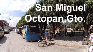 San Miguel Octopan, Gto  2019