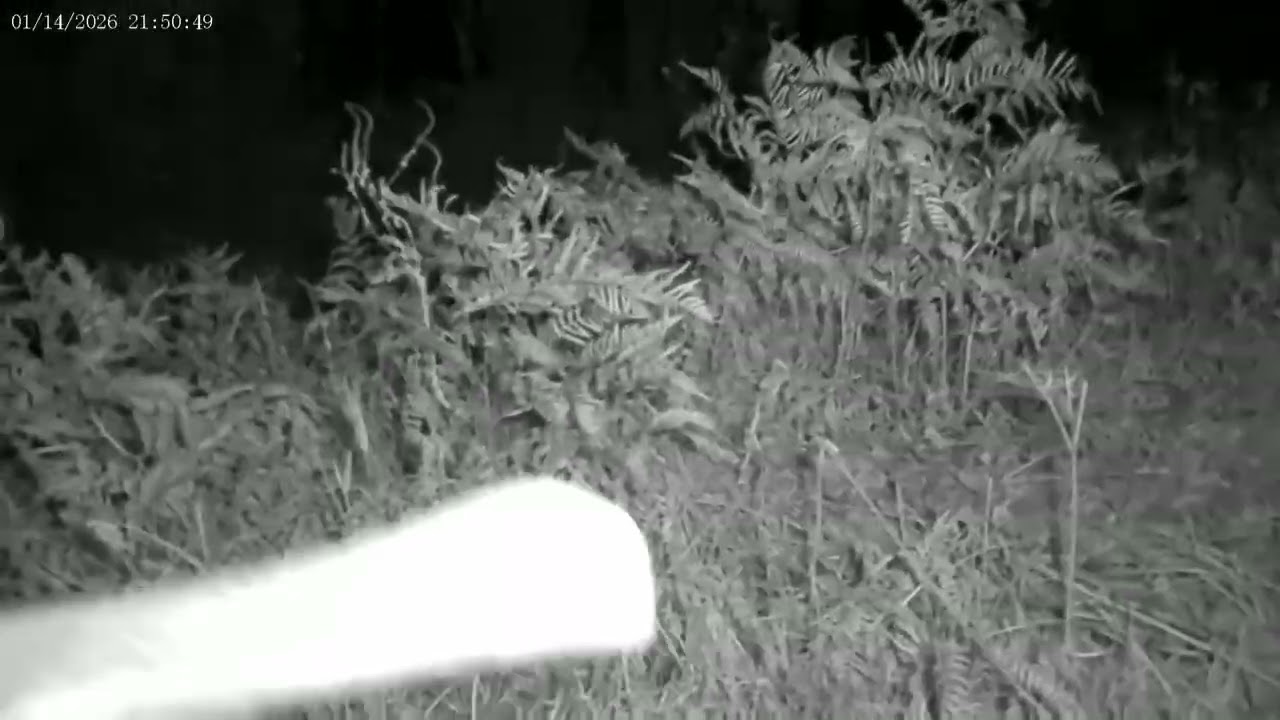 Paranormal Late Night Hike – What Did We Encounter? 