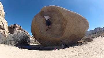 Joshua Tree - The Womb