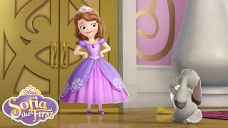 Sofia the First Theme Song | @disneyjunior screenshot 3