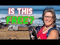 Wow amazing baja camps  beach hike baja rvlife